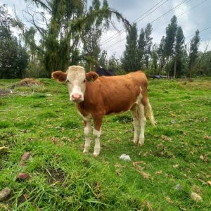 WhatsApp-Image-2026-02-24-at-11.55.02-AM