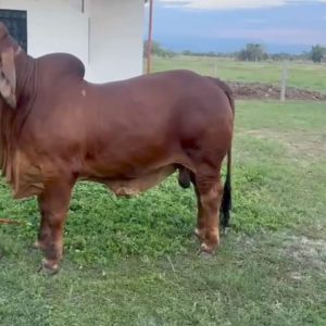 WhatsApp-Image-2026-04-13-at-4.14.06-PM