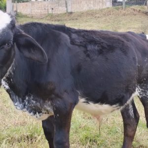 WhatsApp-Image-2026-04-21-at-2.10.42-PM