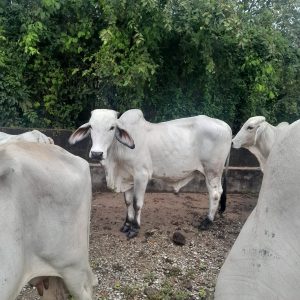 WhatsApp-Image-2026-04-21-at-6.02.12-PM