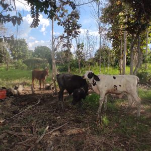 WhatsApp-Image-2568-03-21-at-16.32.14-1