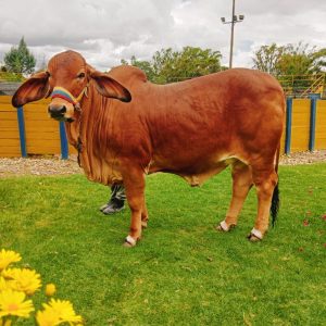 e5583bfe-d29e-4061-bbdd-10ace8cbd9be-1