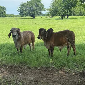 f850010f-404c-4b21-b745-bf588bb81e48