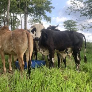 received_2342757939241809