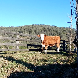 vlcsnap-2019-07-22-14h01m25s173