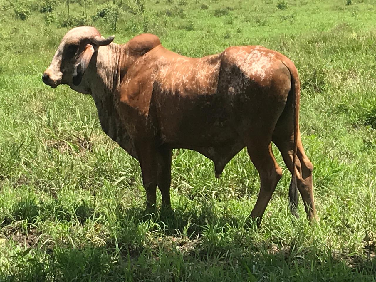 IMG-20210601-WA0023-1