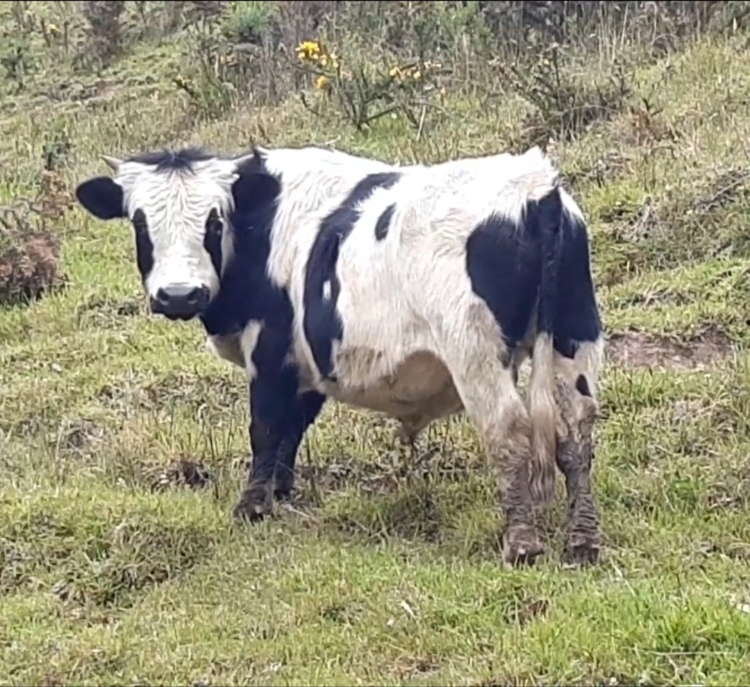 Screenshot_20210510-164430_Gallery-1