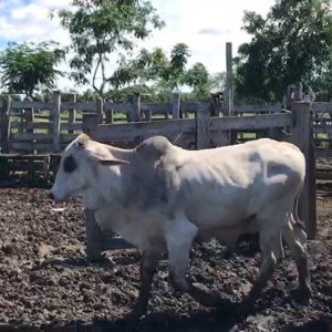 Sin-titulo