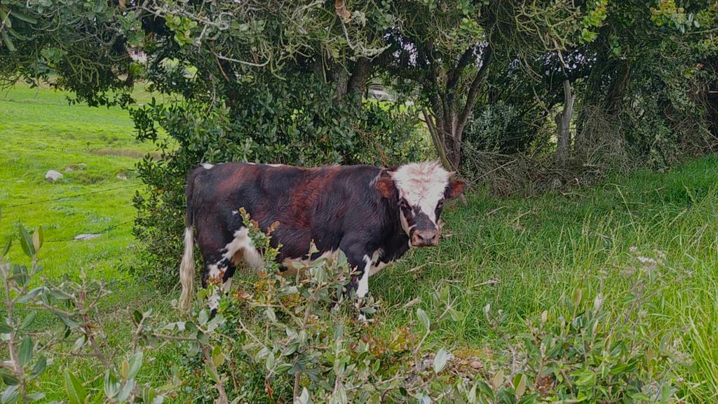 WhatsApp-Image-2021-10-17-at-10.06.19-PM