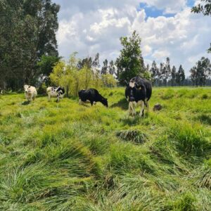 WhatsApp-Image-2026-01-17-at-8.43.58-PM-2