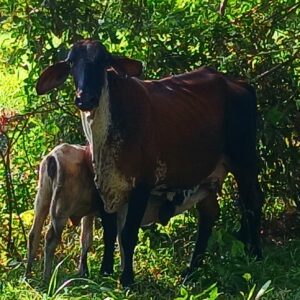 CYMERA_20251219_104147