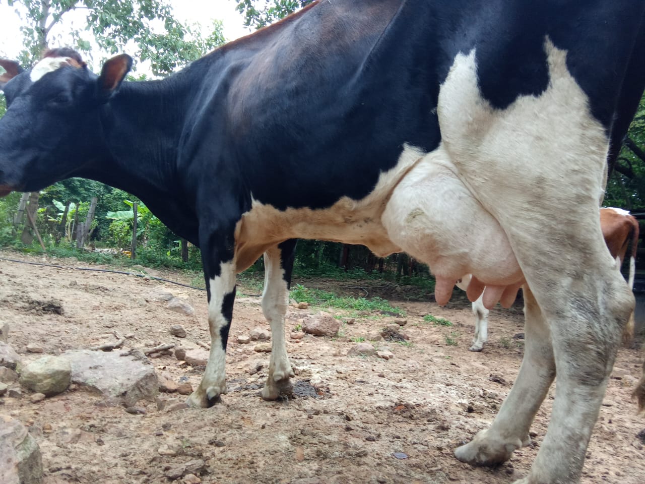 IMG-20240814-WA0003-2