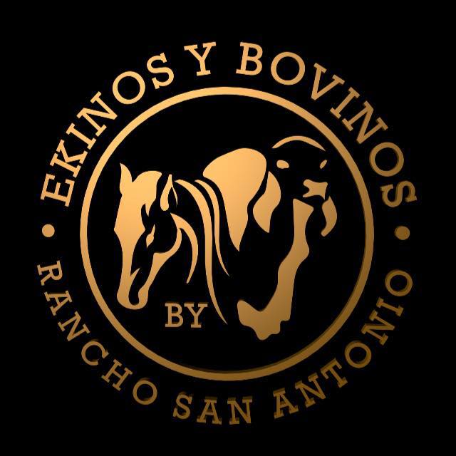 13346904_10153775641648282_7022700299088812201_n