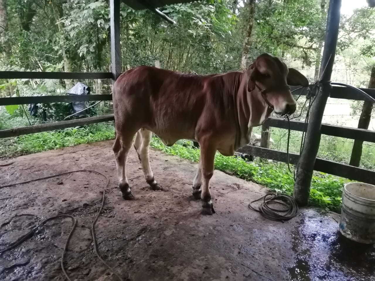 IMG-20220810-WA0020-2