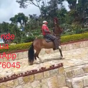 WhatsApp-Image-2023-07-09-at-8.54.06-AM