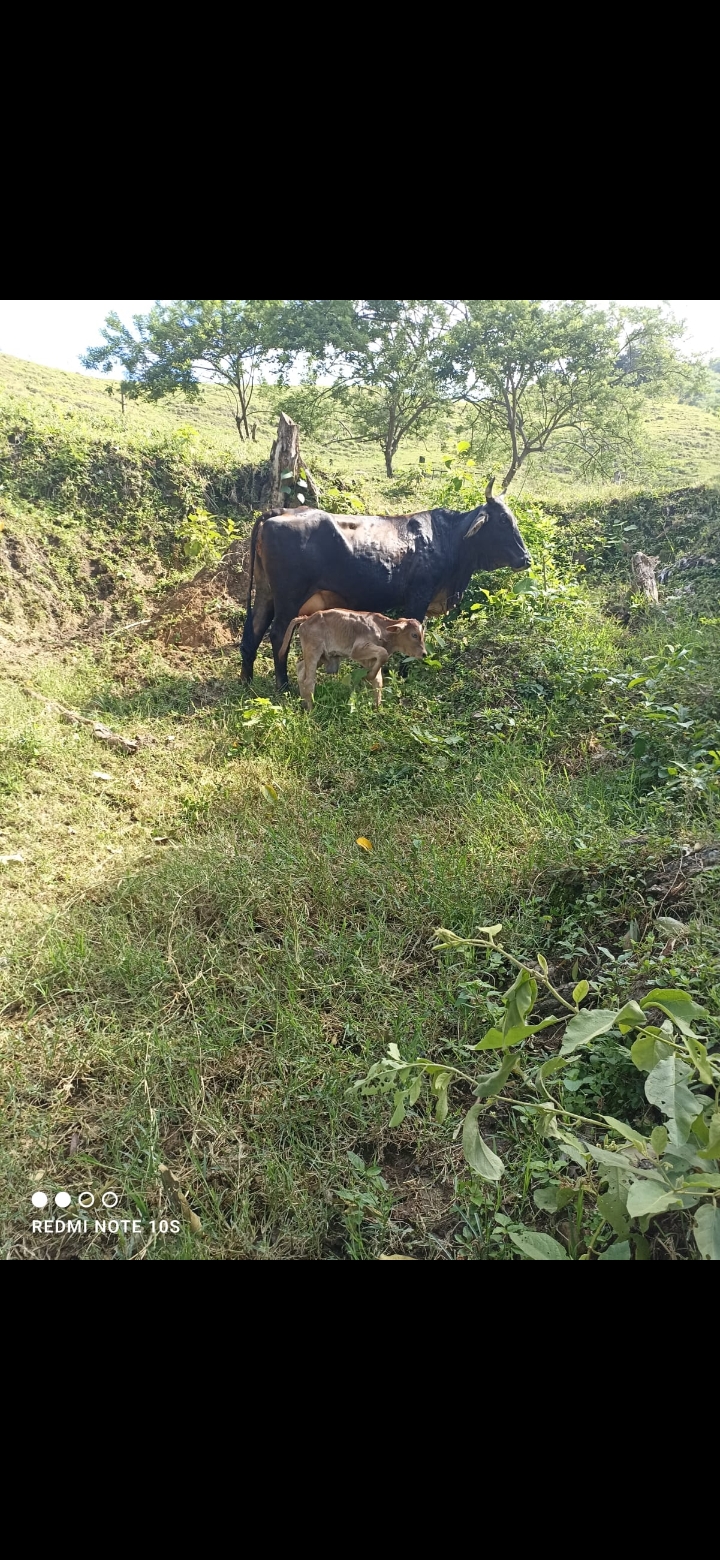 inbound1270812256484285912