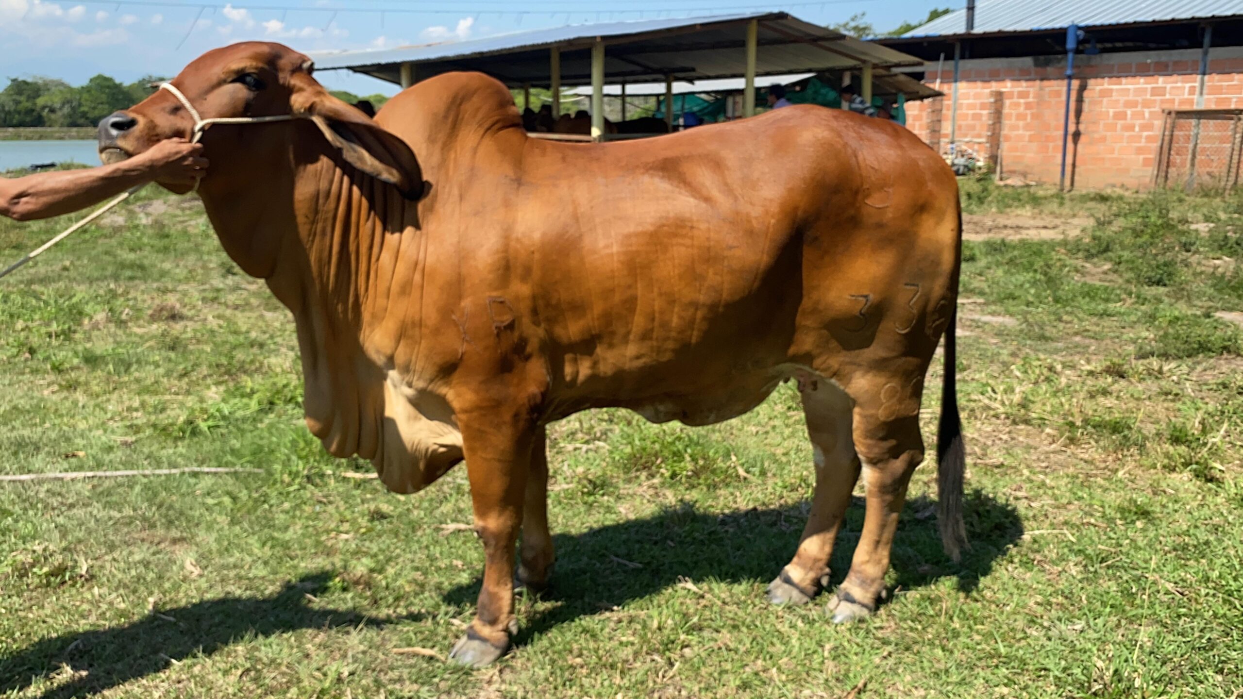 5eaad459-7bfb-472c-901e-5a7ec5304b08