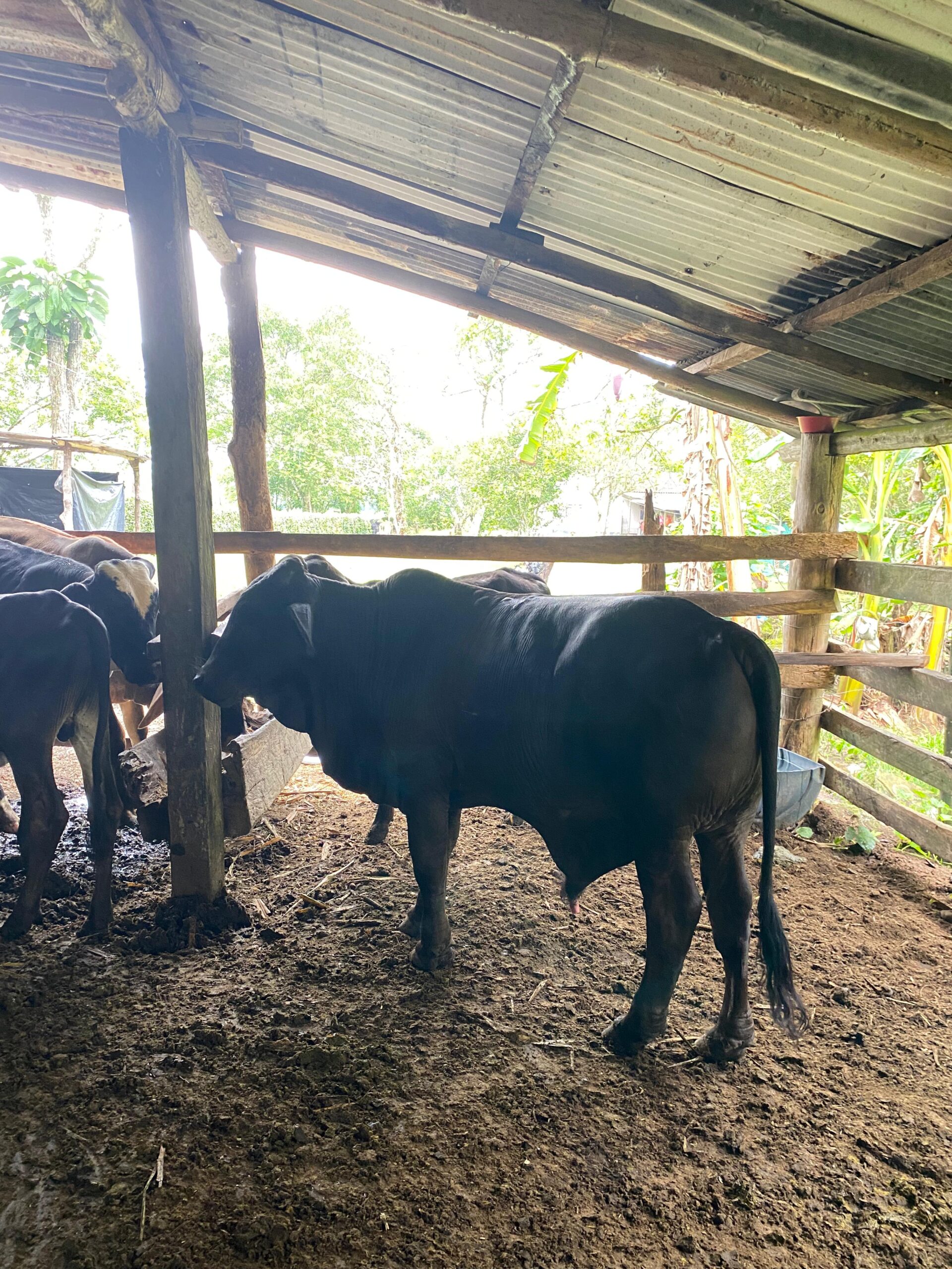 IMG-20240518-WA0048-1