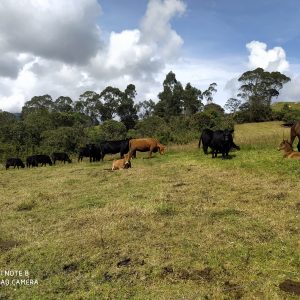 Rancho san Rafael