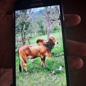 16054723935954812065367877473366