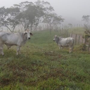IMG-20230816-WA0001