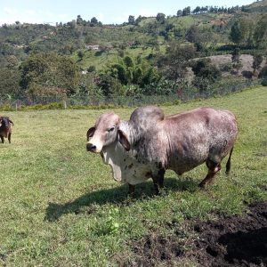 IMG-20201228-WA0002-1