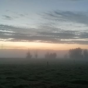Picture of Ganaderocota