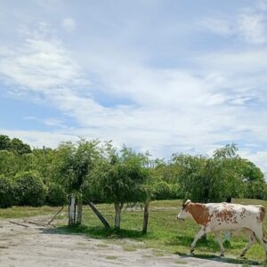 1d1a1482-42d9-493f-b802-fd27241dd9b4