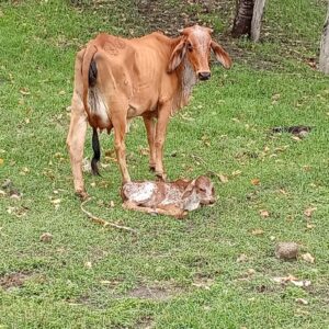 d3c5ee6b-ec52-4ad4-9a49-2f5ed78914c0