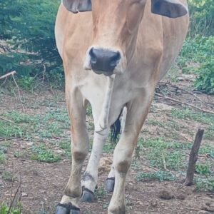 2309b3a2-17ab-4120-922a-7ef6357c86ce-1