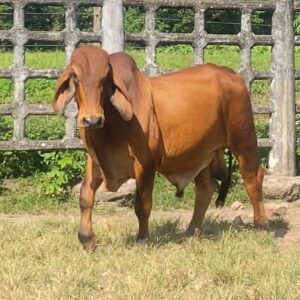 WhatsApp-Image-2025-12-28-at-6.24.50-PM1-2