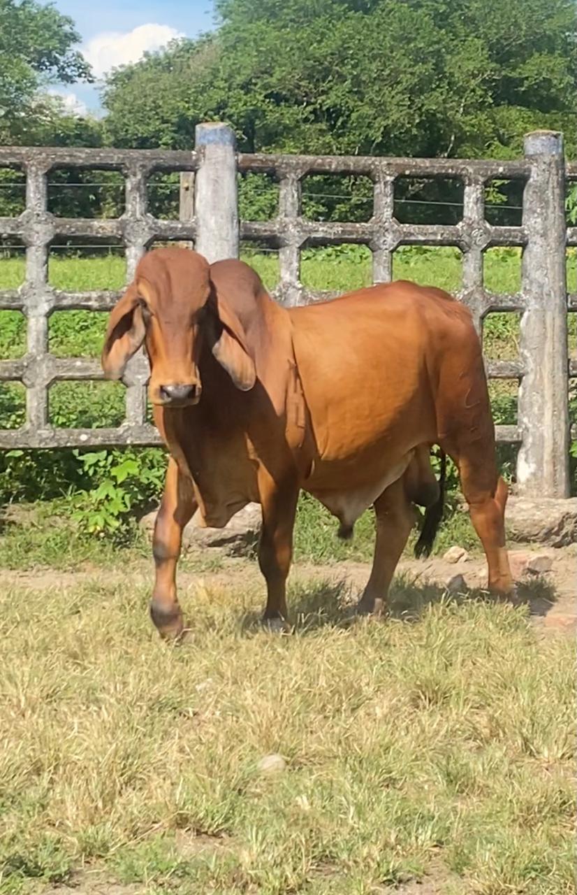 WhatsApp-Image-2025-12-28-at-6.24.50-PM1-2