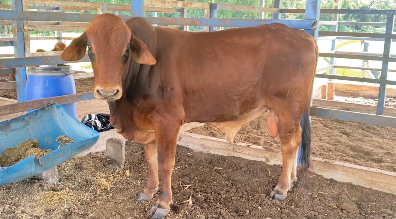 WhatsApp-Image-2025-12-28-at-7.11.37-PM1-1