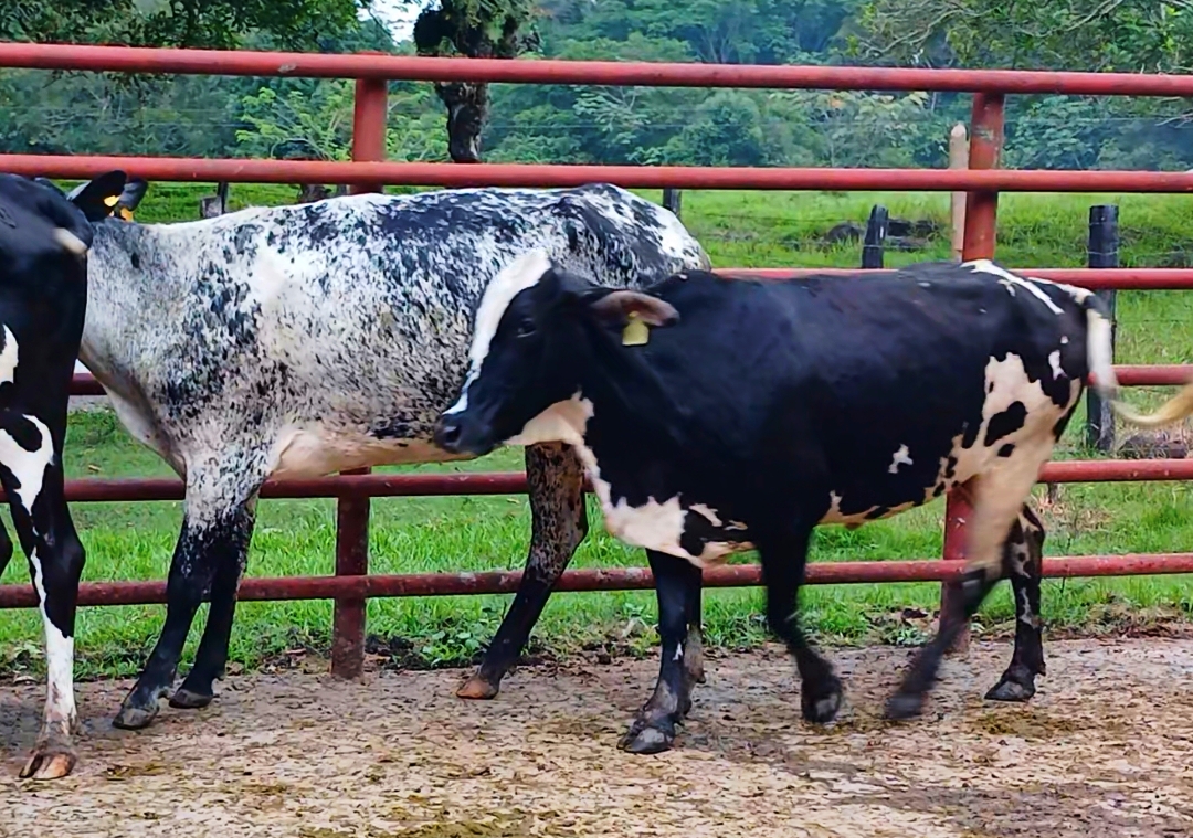 CYMERA_20260310_181811